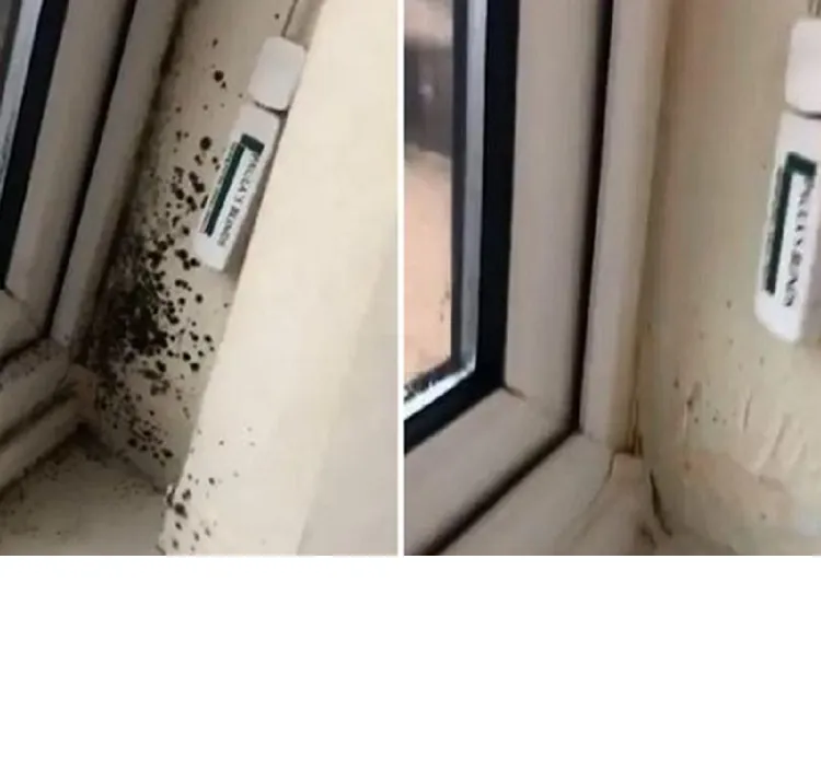 151 Mould & Mildew 500ml Spray