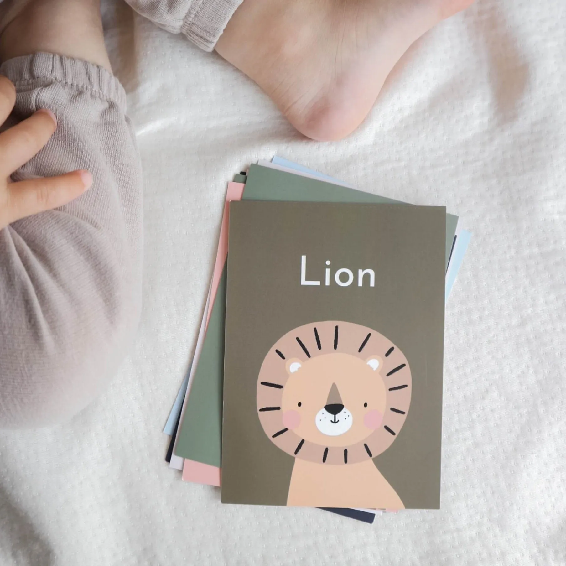 Baby's first words flash cards