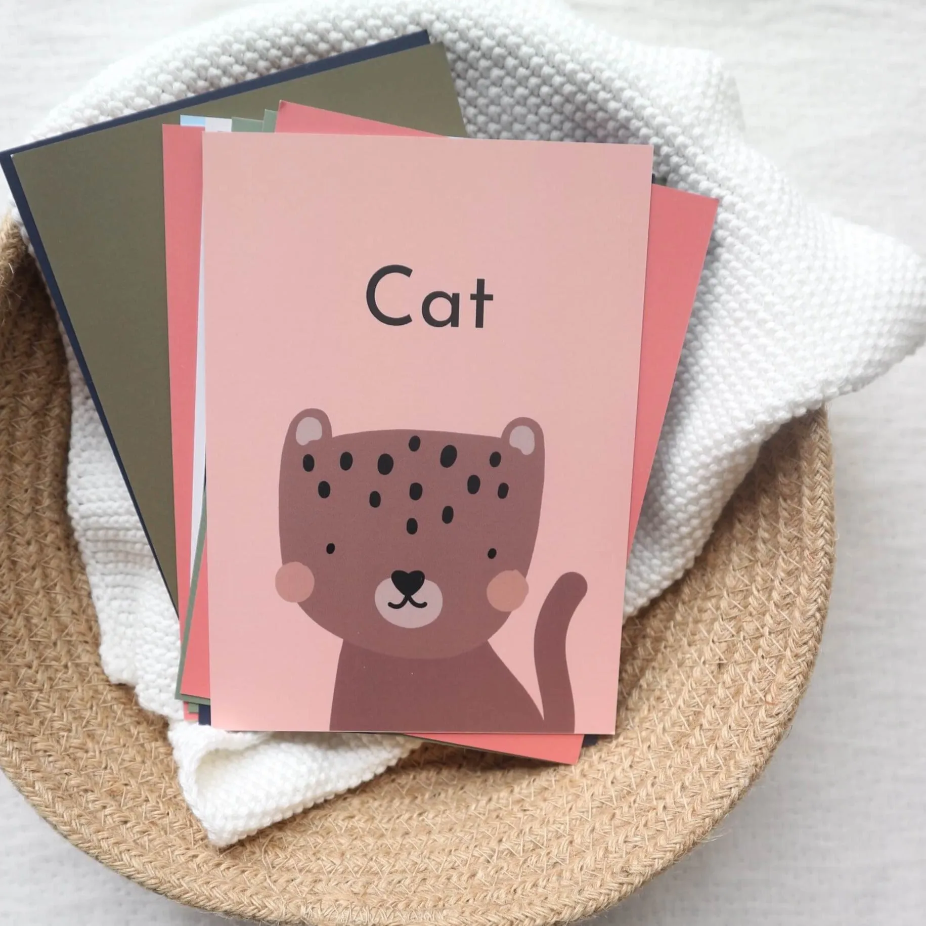 Baby's first words flash cards