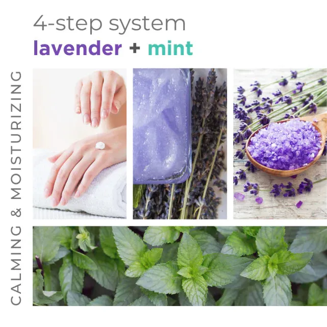 BCL Spa - Lavender   Mint - Massage Cream 128oz