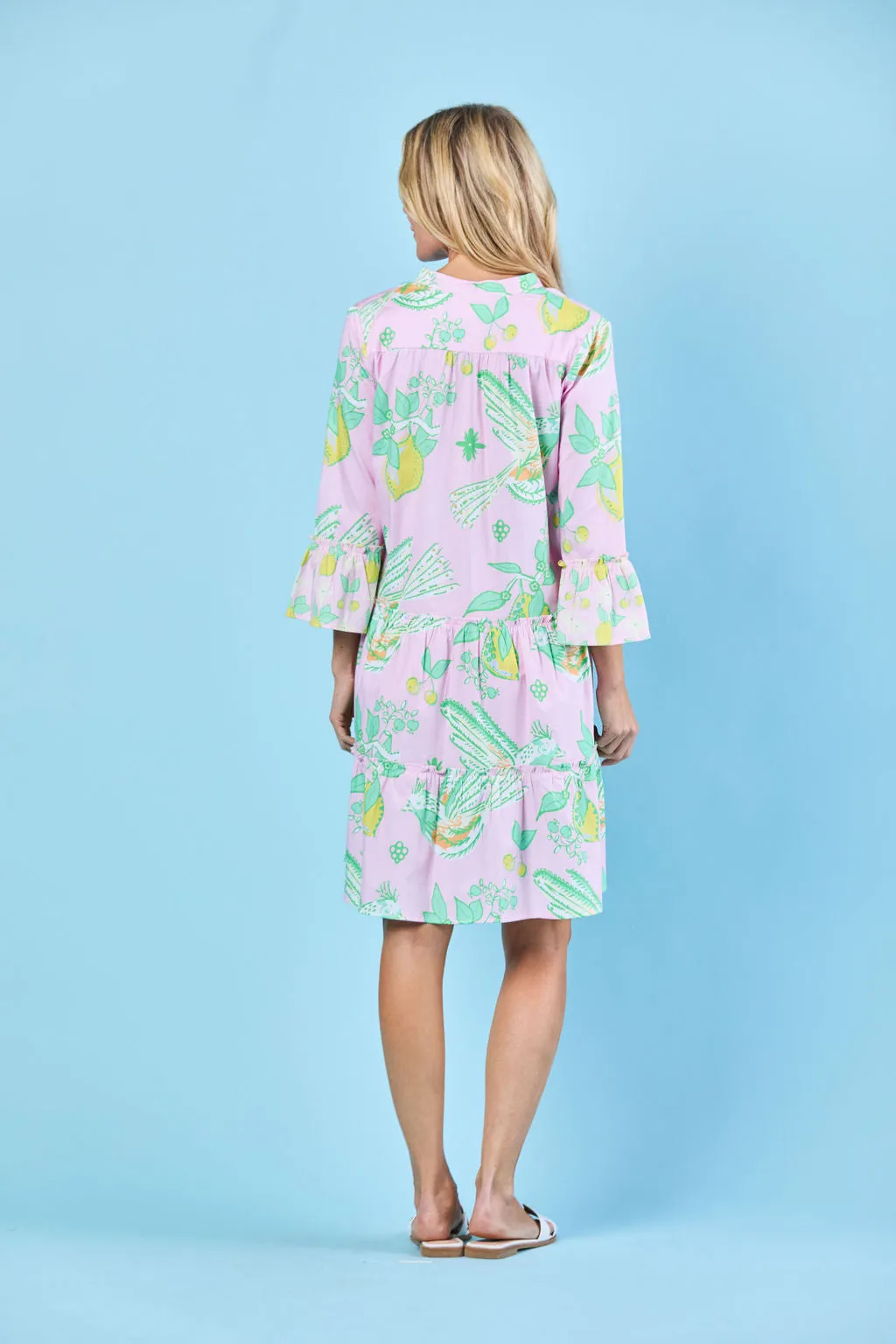 Caty Dress in Blushing Songbird
