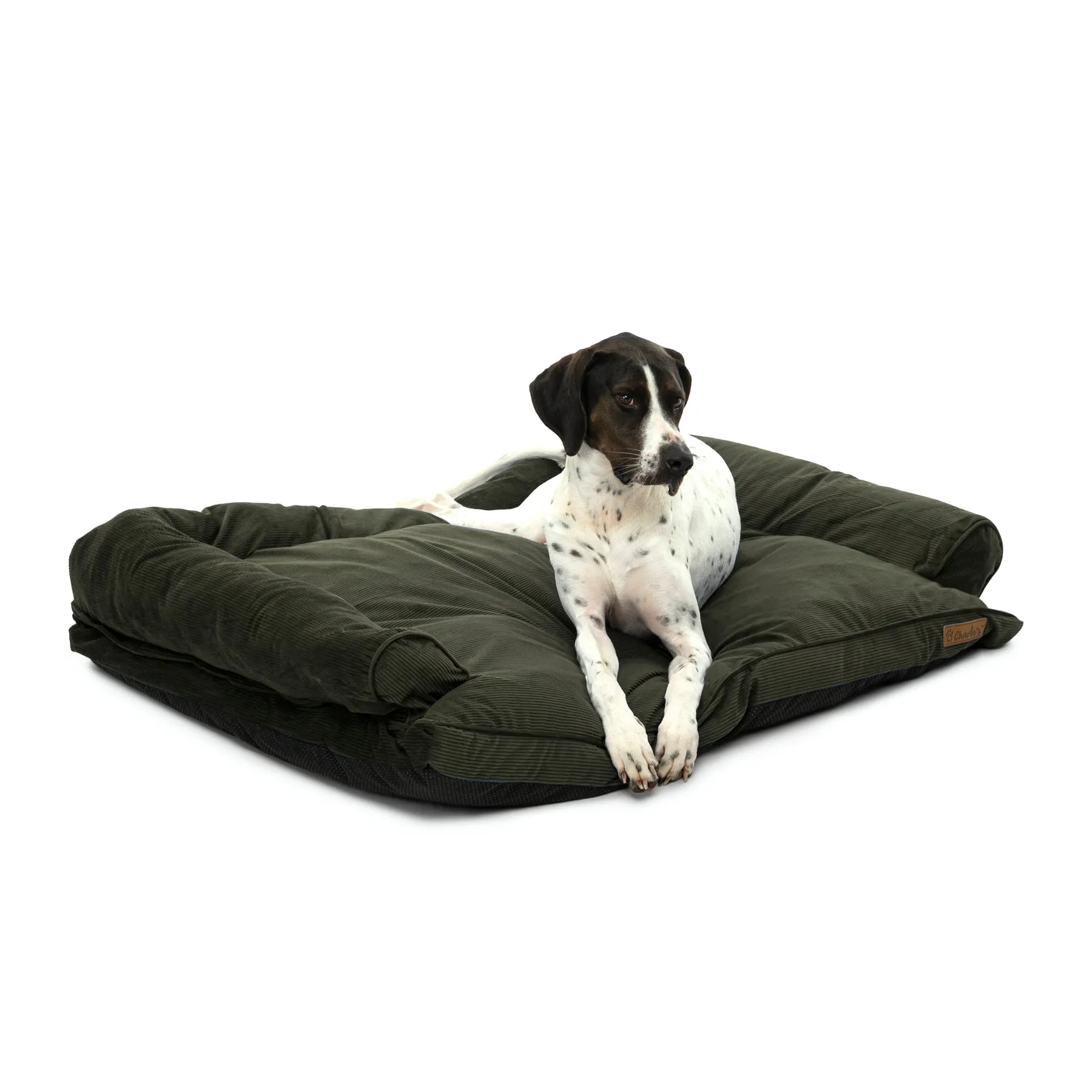 Charlie's Corduroy Dog Sofa Bed Green Small
