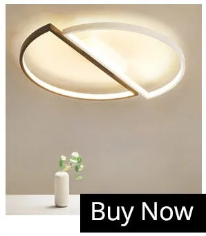 Enlightenment Modern LED Chandelier With Remote Control