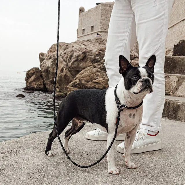 Ezydog Luca Leash