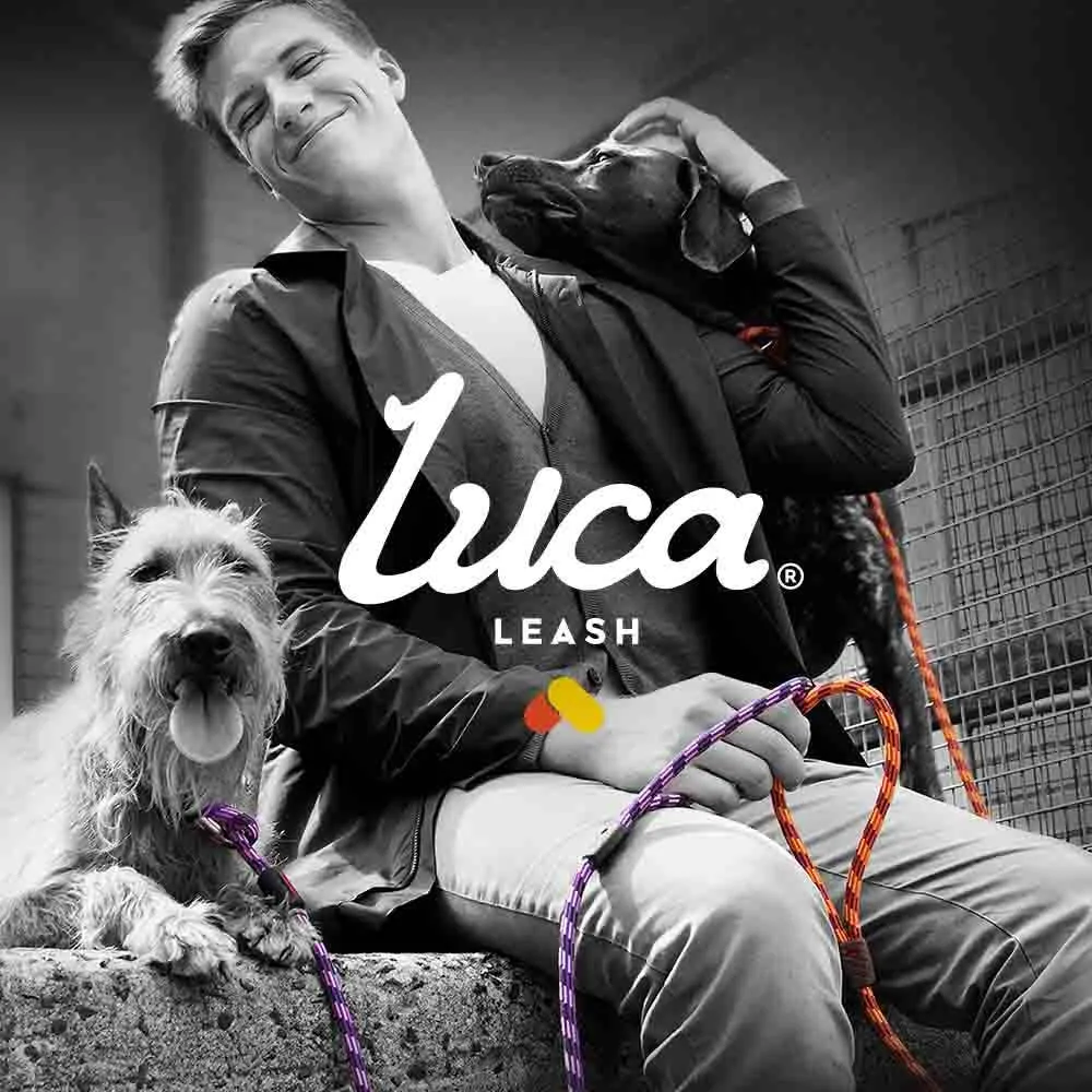 Ezydog Luca Leash