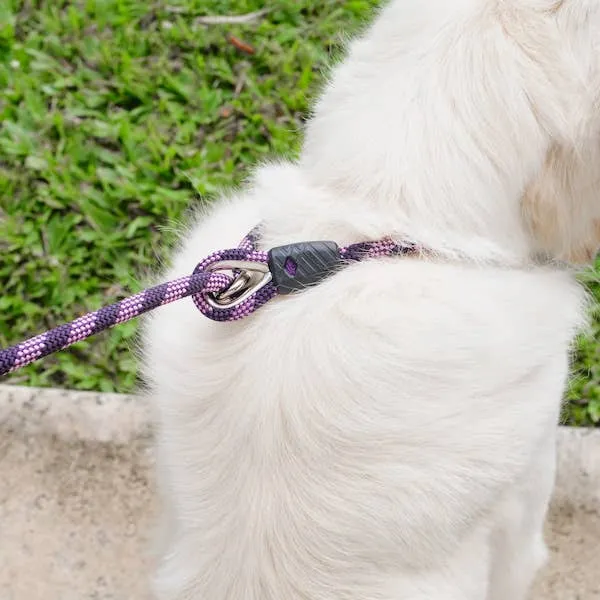 Ezydog Luca Leash