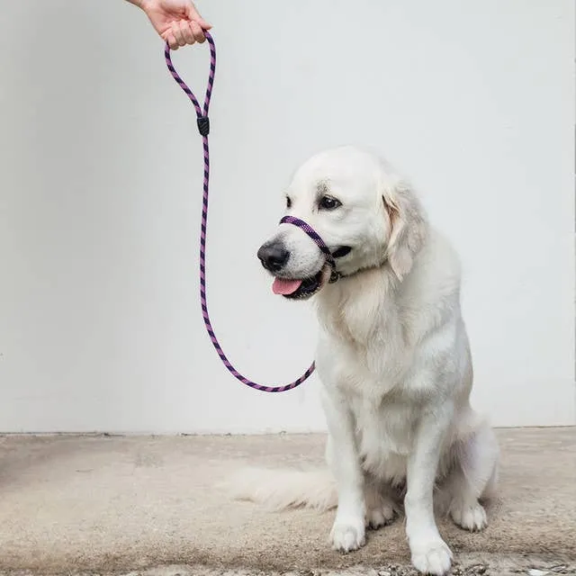 Ezydog Luca Leash