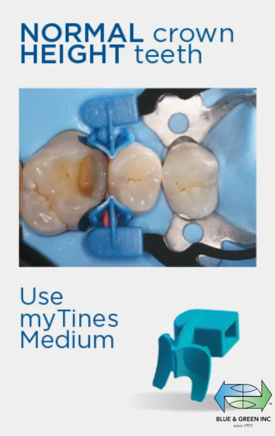 myTines Medium 6303 (6 pairs)