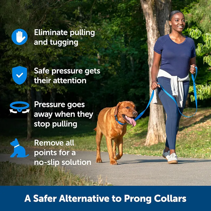 PetSafe Soft Point Training Collar