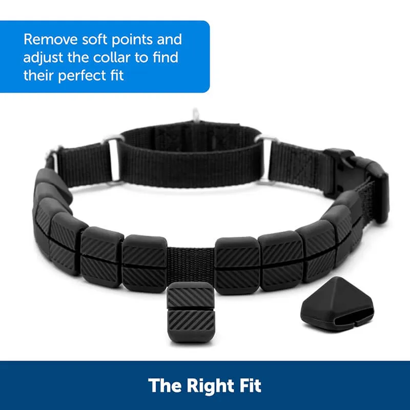 PetSafe Soft Point Training Collar