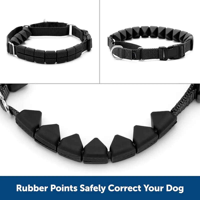 PetSafe Soft Point Training Collar