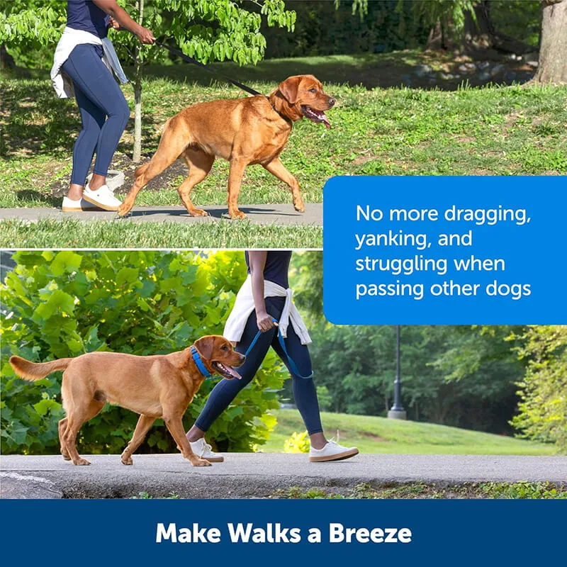 PetSafe Soft Point Training Collar