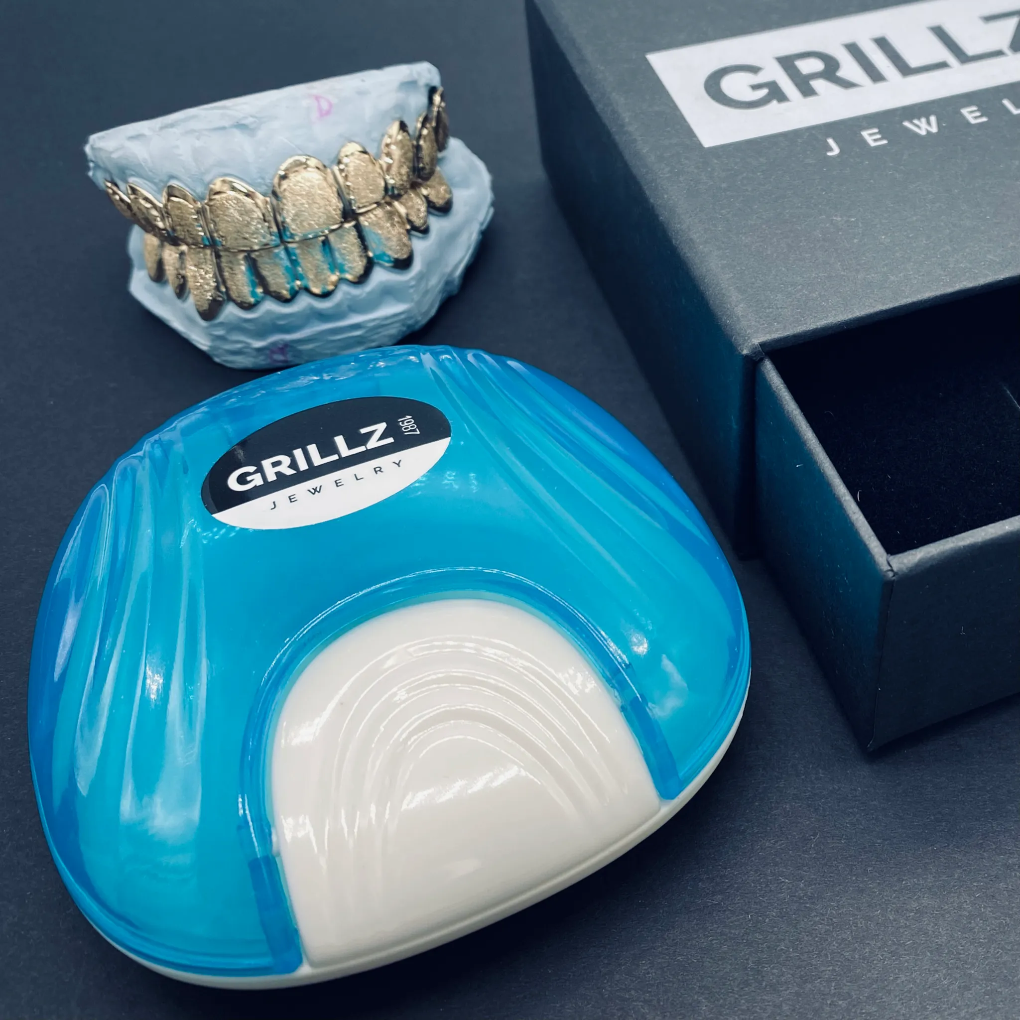 Protective grill case