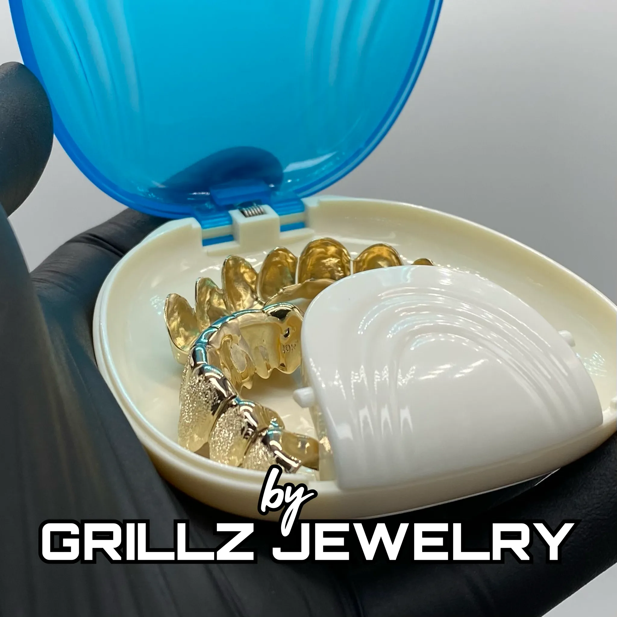 Protective grill case