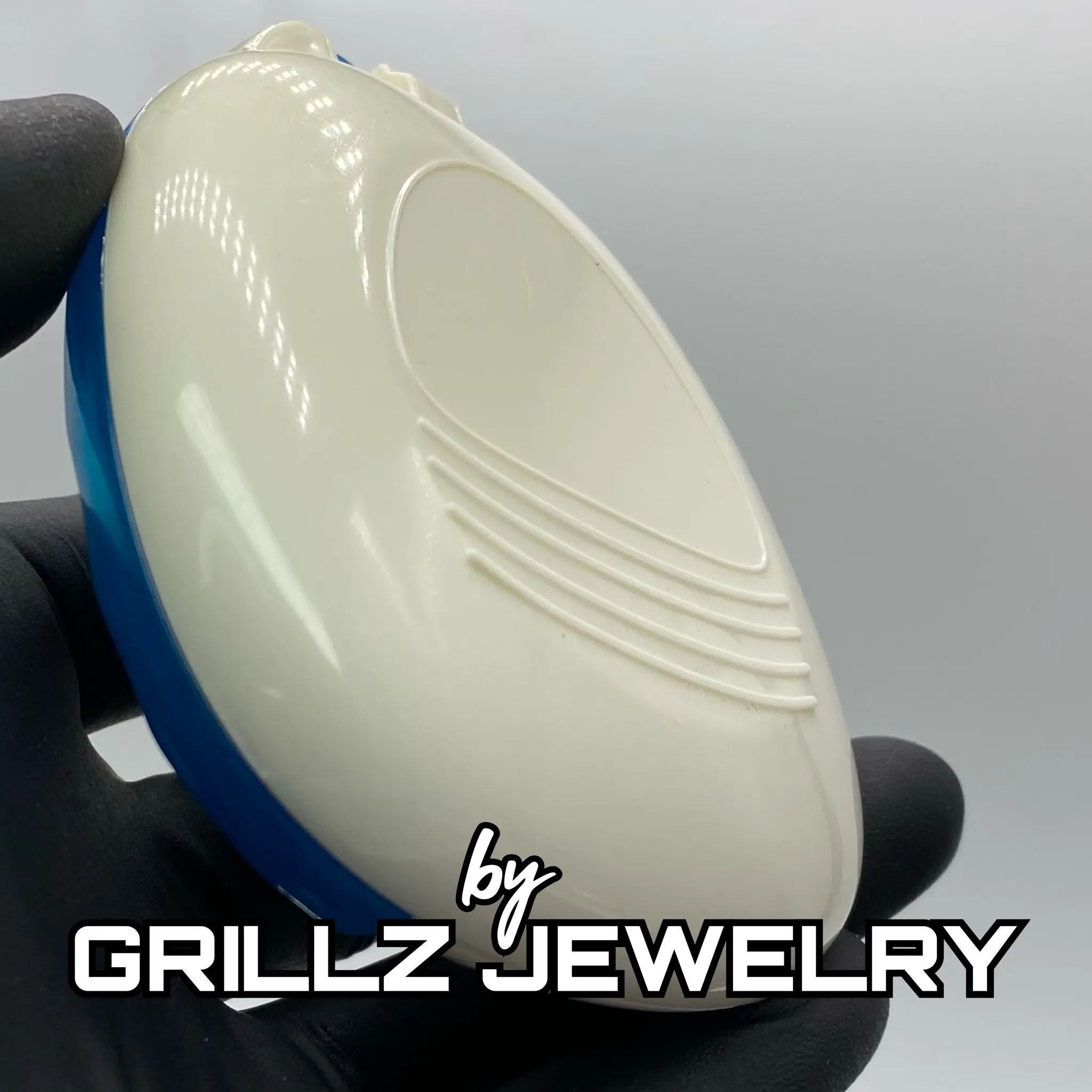 Protective grill case