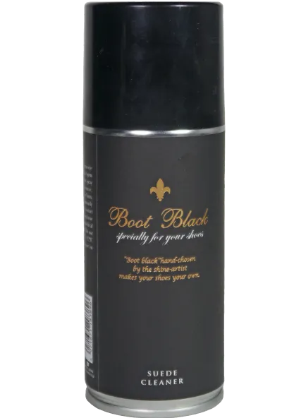 Suede Cleaner Aerosol Spray