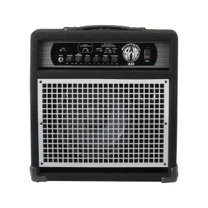 SWR Working Pro 10 Bass Combo Amp 230V EUR