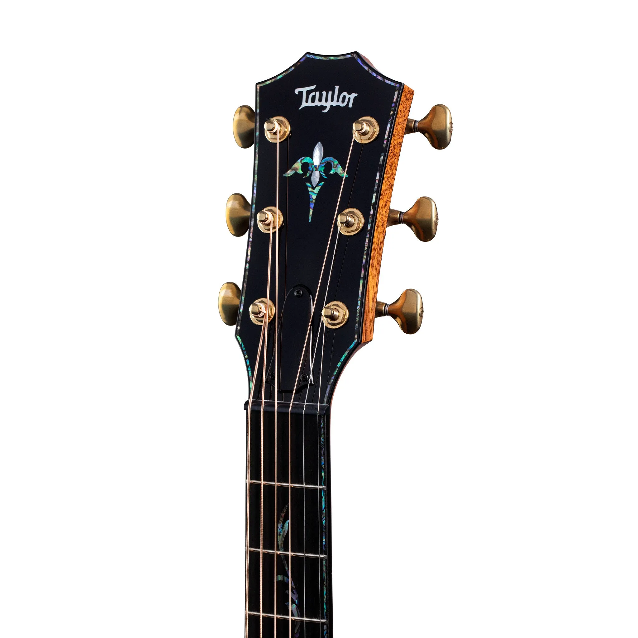 Taylor Presentation Series PS14ce V-Class Honduran/Sinker Redwood Grand Auditorium Acoustic Guitar