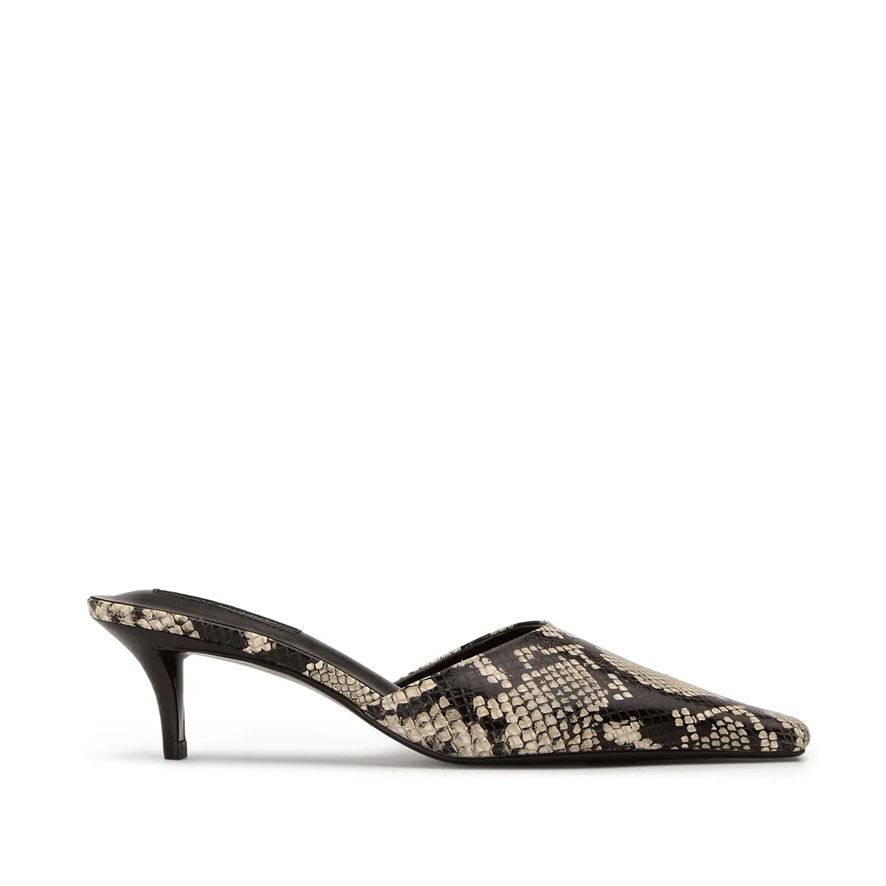 ZUBI REPTIL